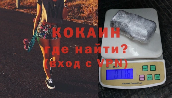 индика Пересвет